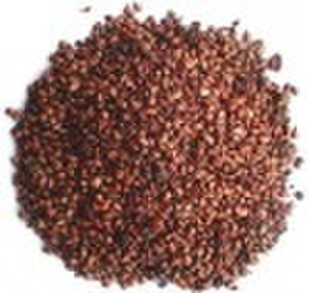 Grape seed Extract