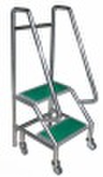 Stainless Steel Buch Ladder