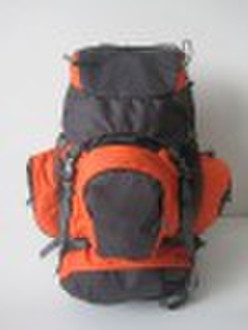 2010 new design mountain bag