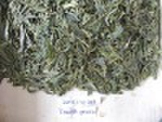 Organic Longjing Tea -- Fourth Grade