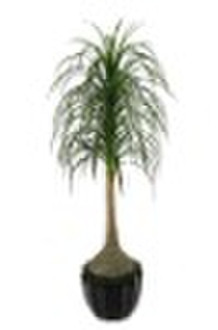 artificial dracaena tree  nolins recurvata