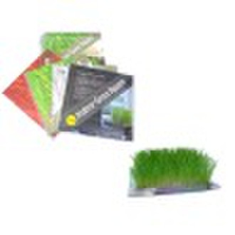 promotion gift (Indoor Grass Square)