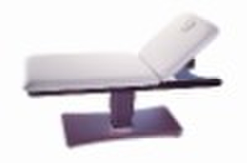 Beauty/Massage bed --2238