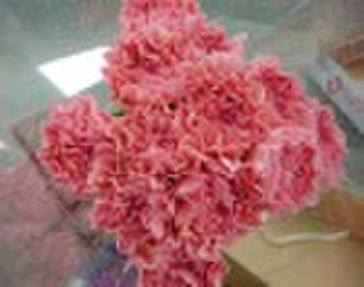 Fresh Cut Flowers-Carnation-Pink Francesso