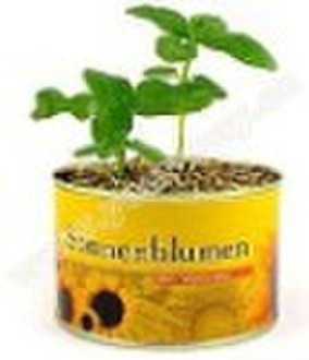 Tin flower,can flower,mini garden plant