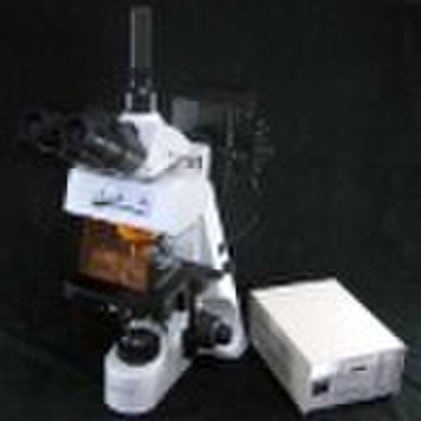 Epi-fluorescent Microscope