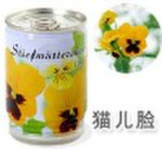 Can flower with herb seed