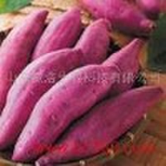 Purple sweet potato