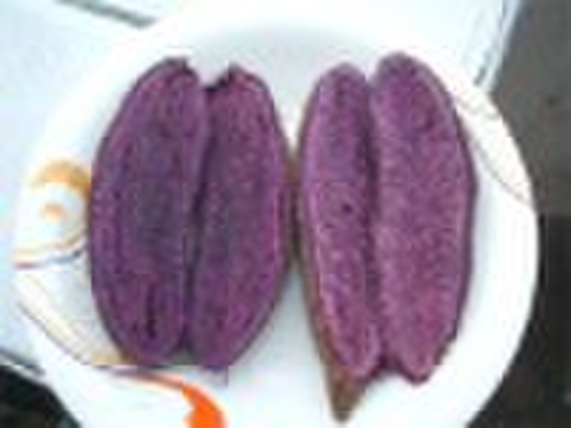 Purple potato