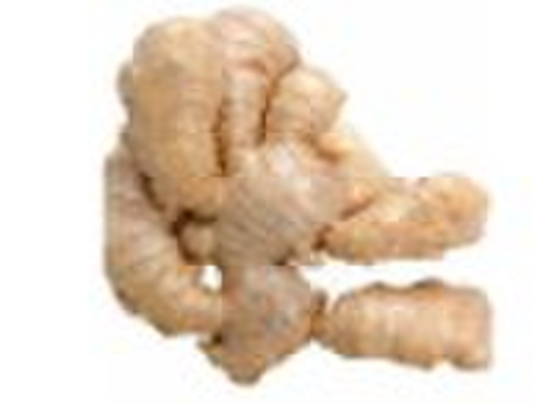 Ginger Extract