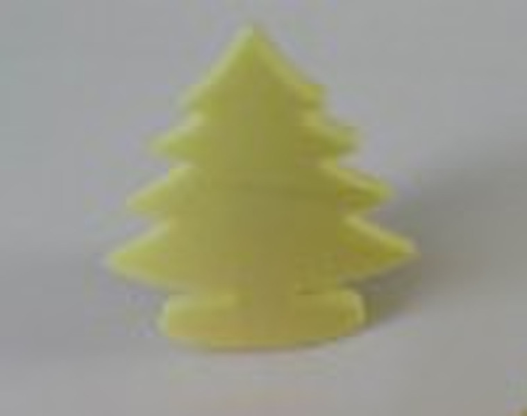 Little sponge pine tree