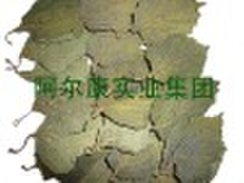 Natural Dry Perilla leaf