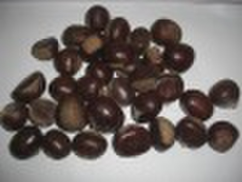 Oil Chestnut