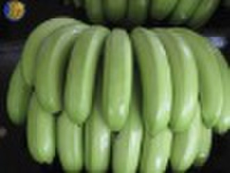 Свежий зеленый банан
