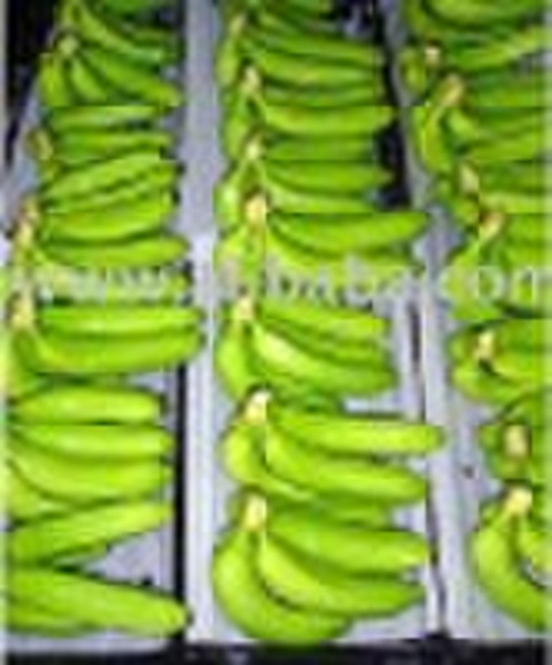 淡绿色的香蕉