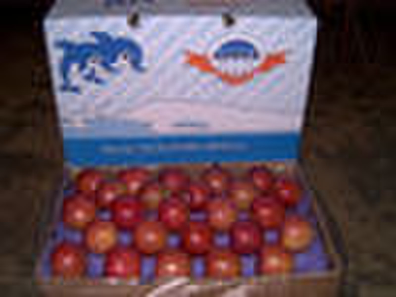 Chinese Red Fuji Apples