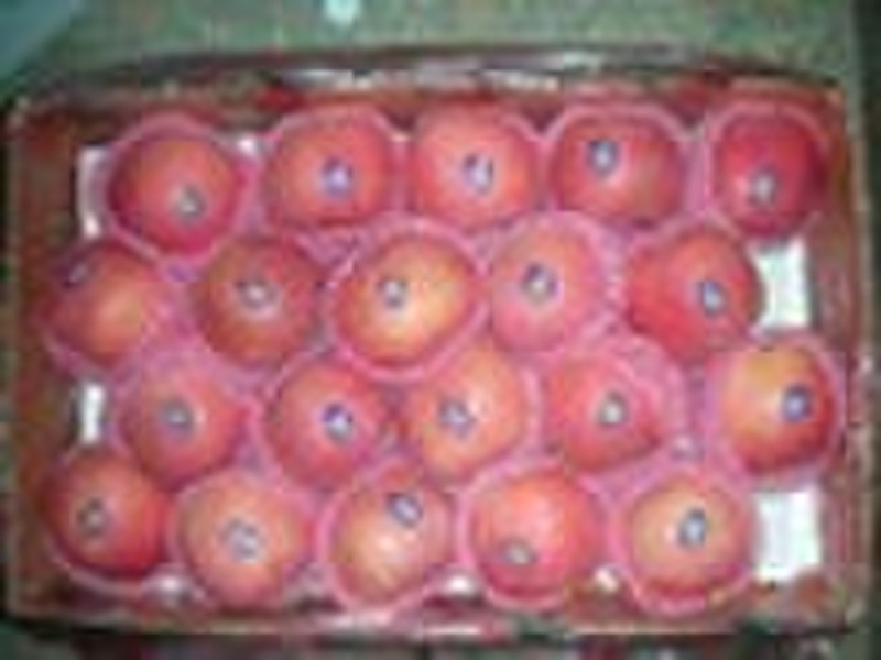 Red Fuji Apples