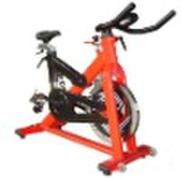 Exercise Bike SW-980