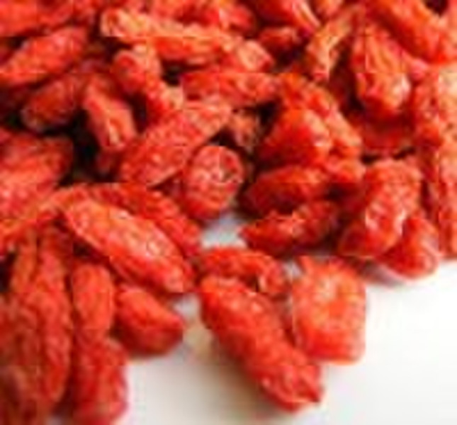 Dried Goji Berry 2010 new crop