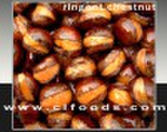 ringent chestnuts