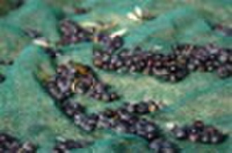 HDPE olive net