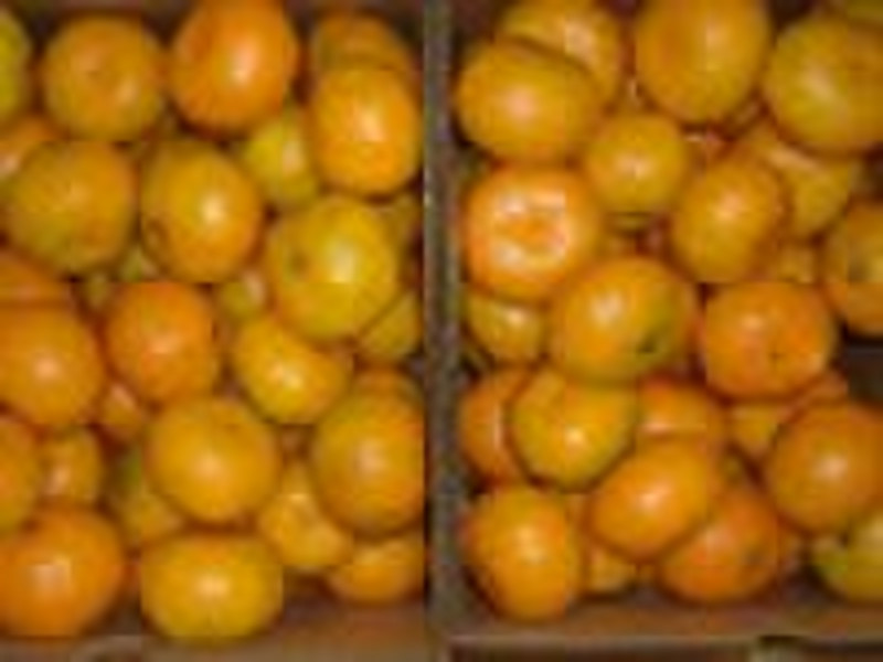 Chinese mandarin oranges