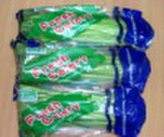 Fresh celery