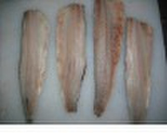 Frozen Herring Fish Fillet