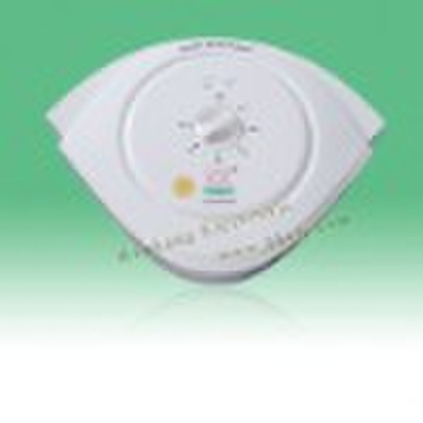 Ozone sterilizer for vegetable