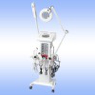 2010 Beauty Equipment 14 in 1 Galvanic Multifuncti