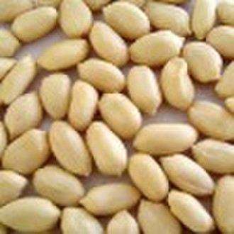 Chinese Blanched Peanut