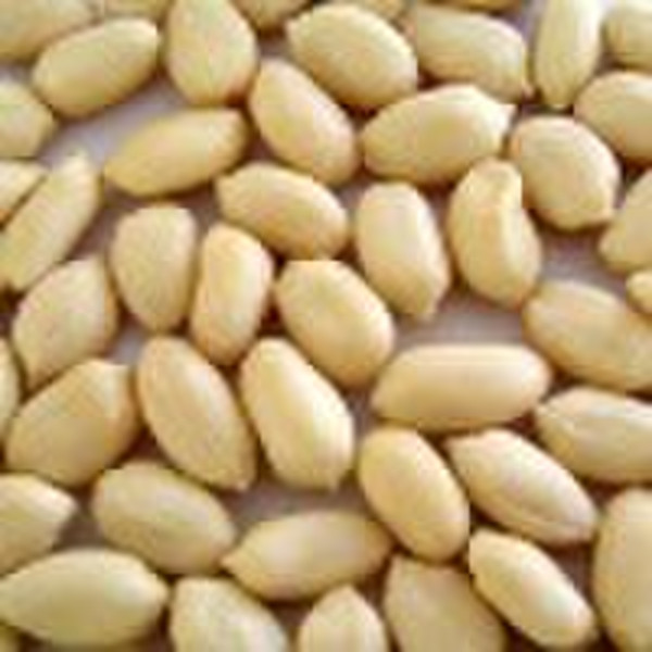 Chinese Blanched Peanut