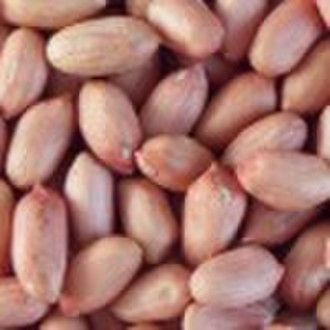 Chinese Peanut Kernel