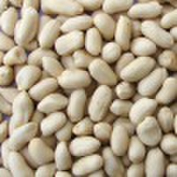 blanched peanut kernel