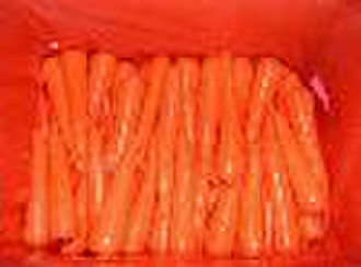 Frische Karotte; frischem Ingwer; frischem Knoblauch