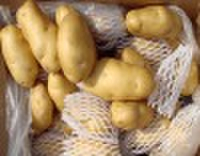 Holland potatoes; Fresh garlic