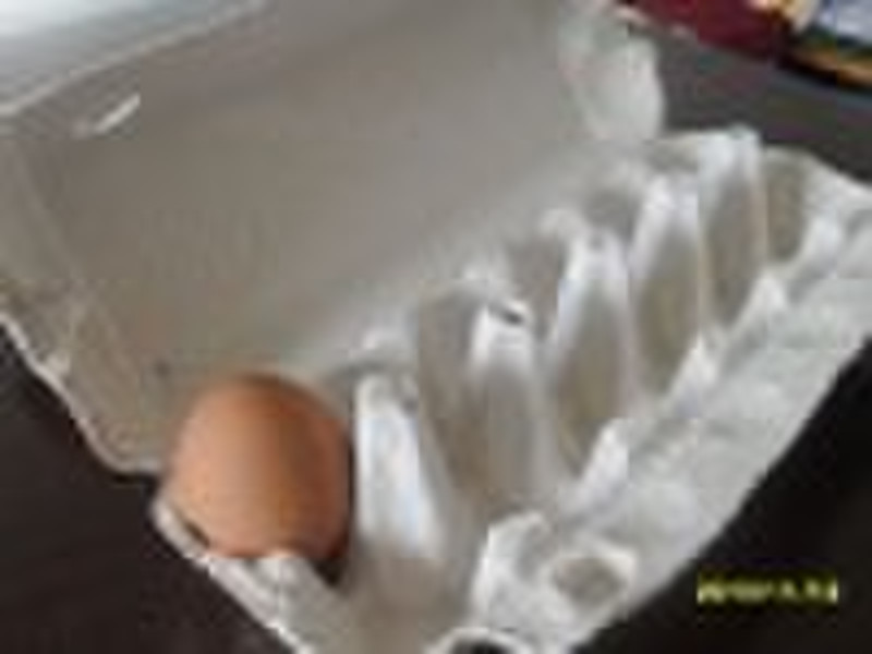 white paper pulp egg tray