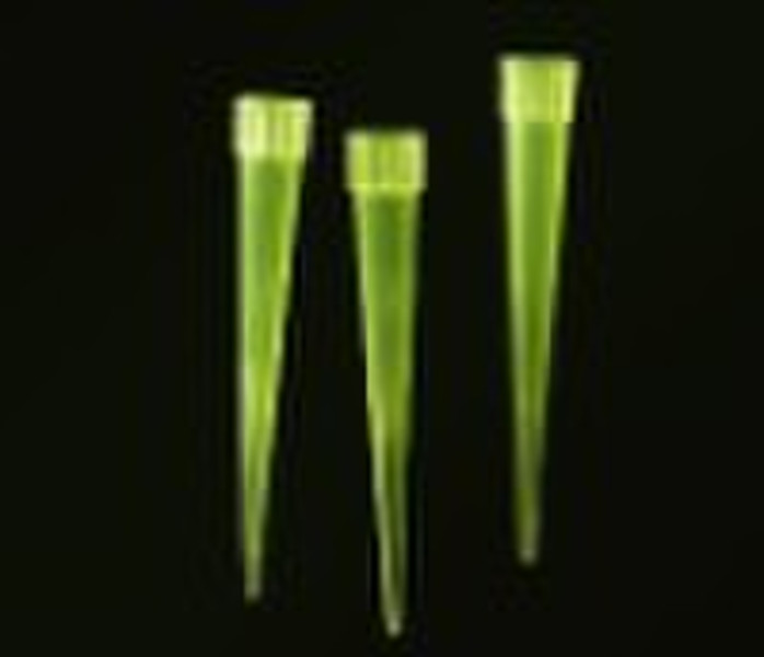 Pipette Tips