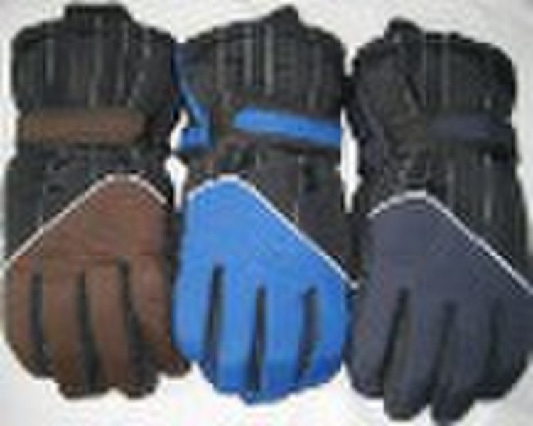 sport/Ski gloves /sports gloves