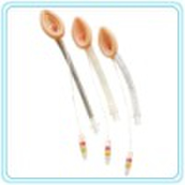 Laryngeal Mask Airway