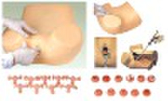 Gynecological Examination Model(simulator,medical