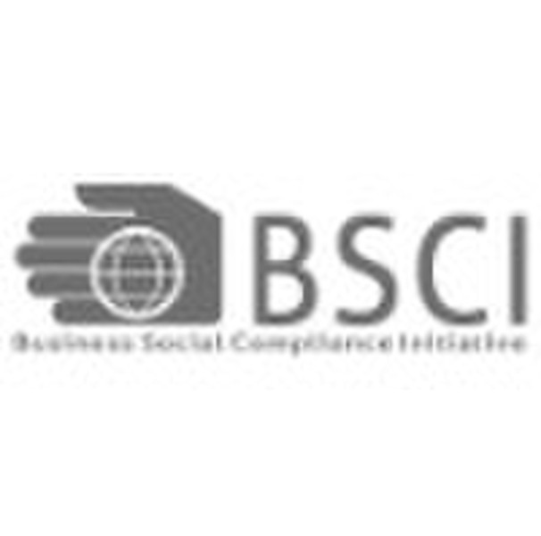 BSCI аудит консалтинговых услуг / BSCI утвержден коэффициент