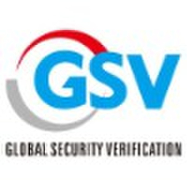 GSV audit consulting/management consulting/consult