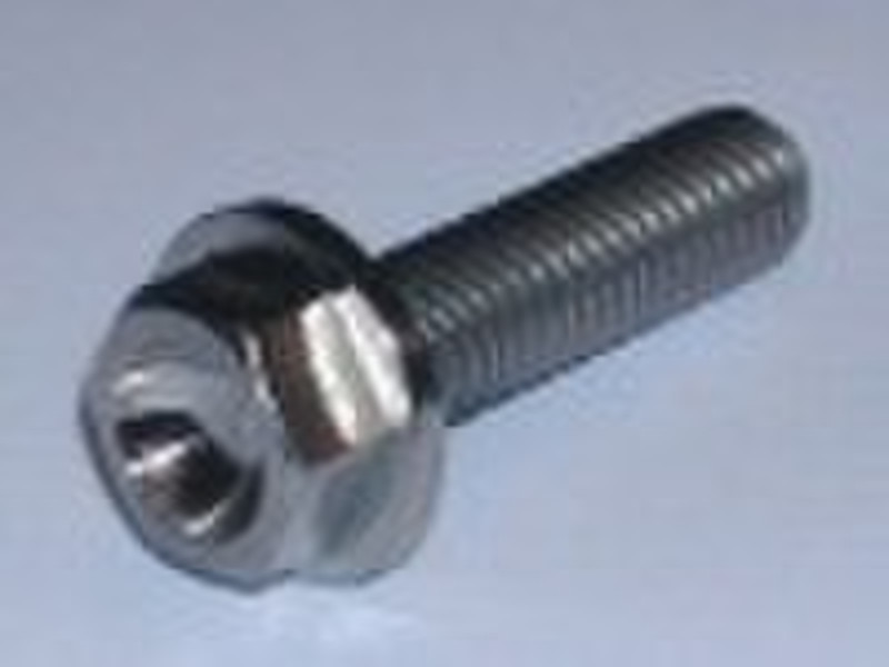 Titanium bolts / titanium screws