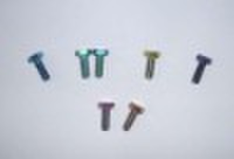 Titanium colored screw