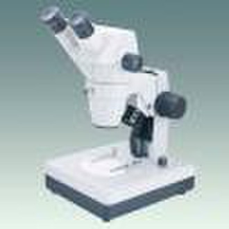 Stereo Microscope