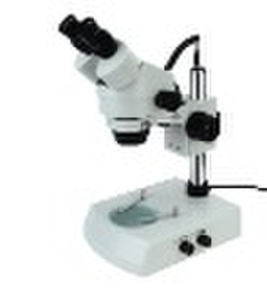 stereo microscope