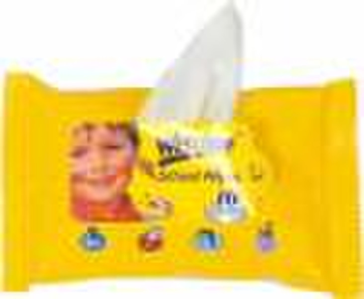 Schule Wipes