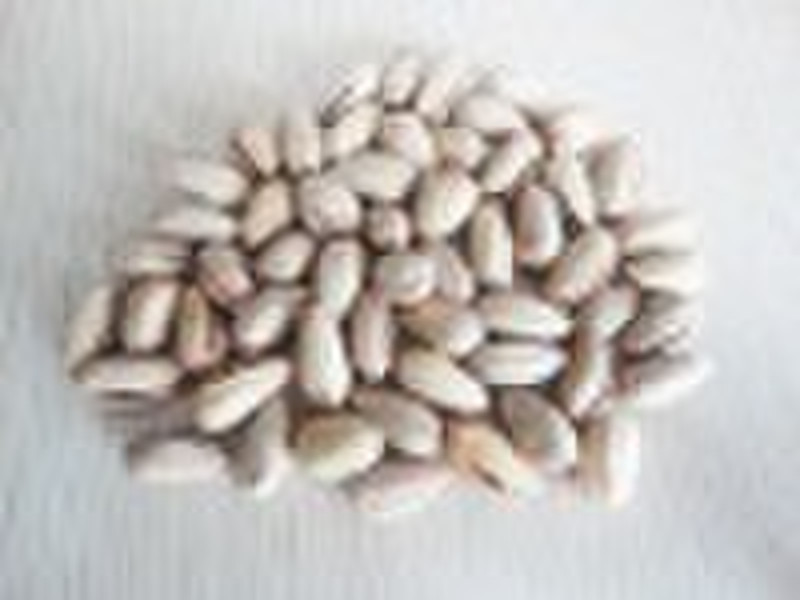 30/32 Pistachio nuts of Iran healthy food