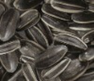 sunflower seeds